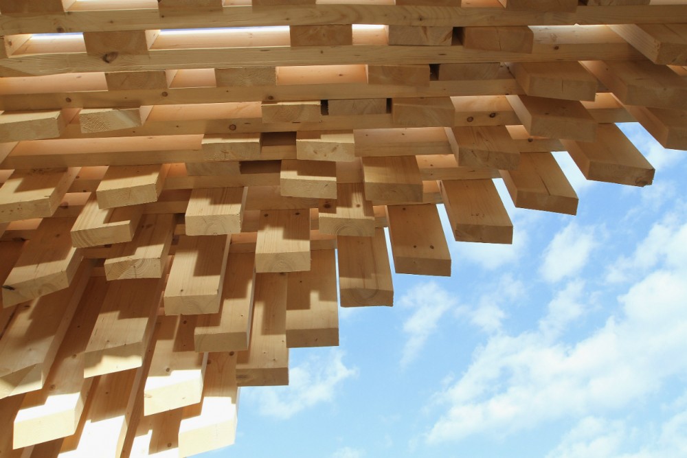 Genesis / David Adjaye