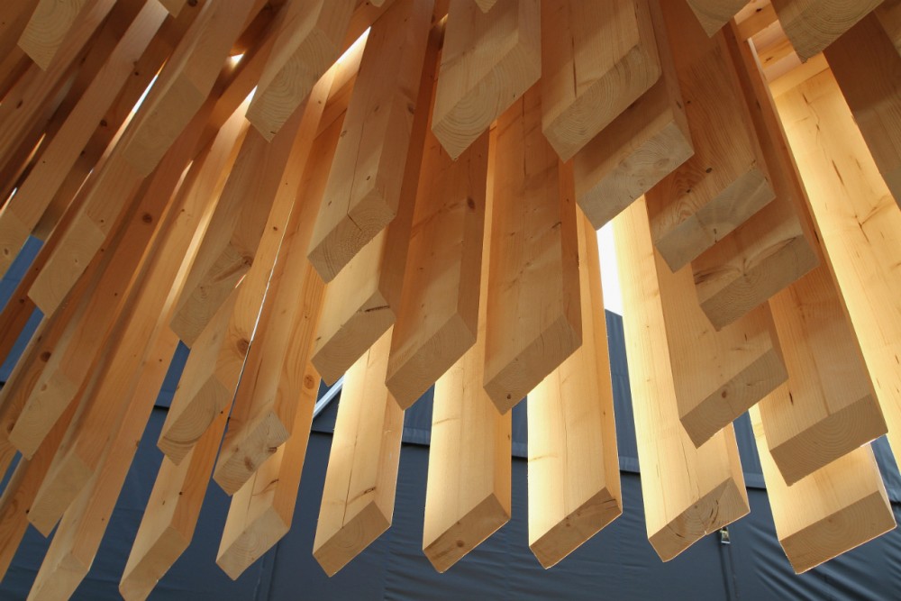 Genesis / David Adjaye
