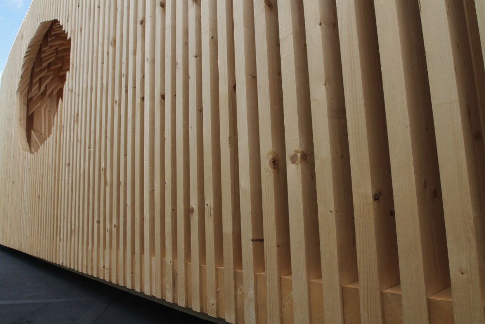 Genesis / David Adjaye