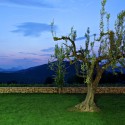 Country House / DVA ARHITEKTA © Robert Leš