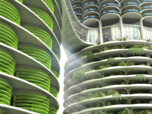 Algae Green Loop (3)