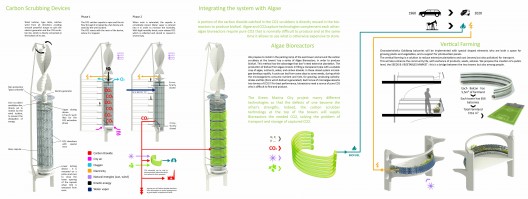 Algae Green Loop (9)