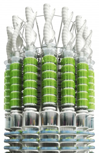 Algae Green Loop (7)