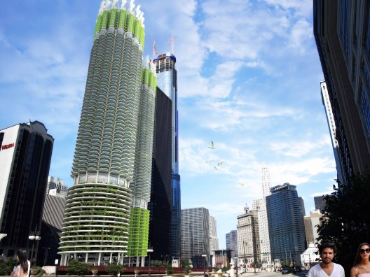 Algae Green Loop (5)