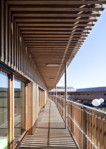 Tino School / AAVP Architecture (11)