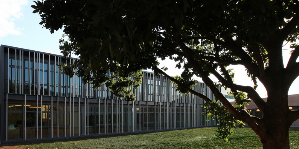 The Court Of The Trees / Tomas Ghisellini Architects