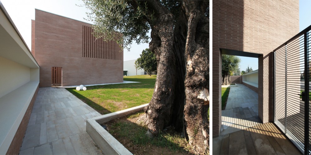 The Court Of The Trees / Tomas Ghisellini Architects