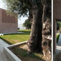 The Court Of The Trees / Tomas Ghisellini Architects The Court Of The Trees / Tomas Ghisellini Architects © Tomas Ghisellini