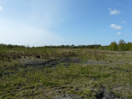 Visitor Destination & Public Open Space at Cronton Colliery - Ideas Masterplan Competition