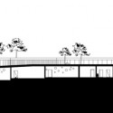 section section