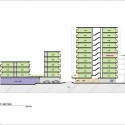 section section