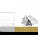 Elevation Elevation