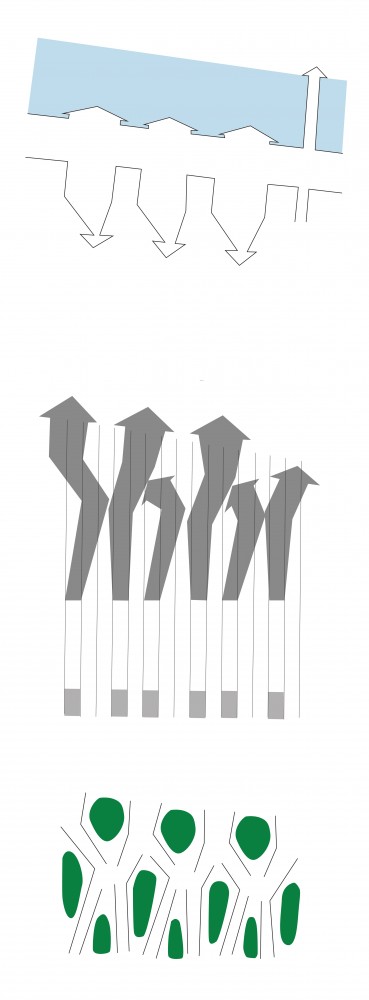 Europan 11 Proposal: ‘Counterspace’ / CODA