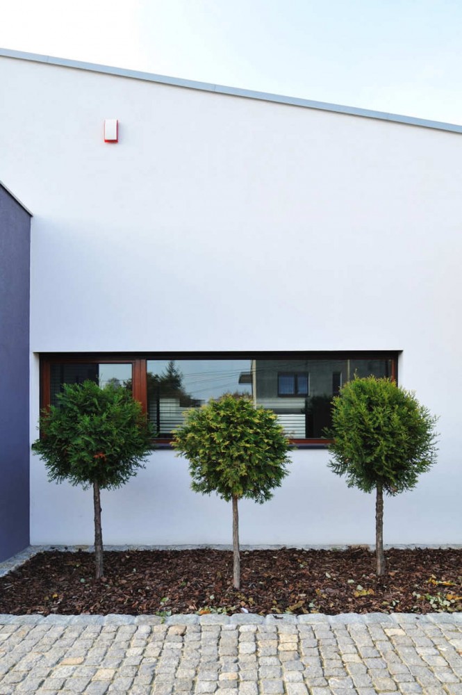 M House / RS + Robert Skitek
