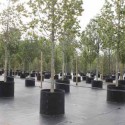 Bosco Verticale / Boeri Studio (7)