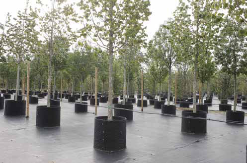 In Progress: Bosco Verticale / Boeri Studio