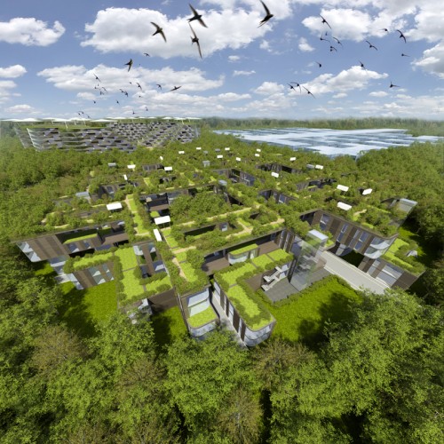 Skolkovo Residential Area (17)