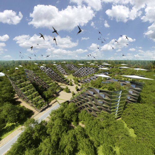 Skolkovo Residential Area (14)