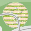 Skolkovo Residential Area (7) Skolkovo Residential Area (7) apartment houses master plan diagram 01