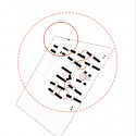 Shebraber School (44) Shebraber School (44) social growth diagram