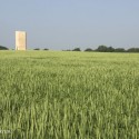 Architectural Photographers Thomas Mayer (8) Brother-Claus-Field-Chapel Wachendorf, Peter Zumthor 2007 © Thomas Mayer