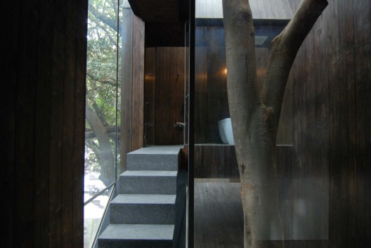 Dancing Trees, Singing Birds / Hiroshi Nakamura & NAP