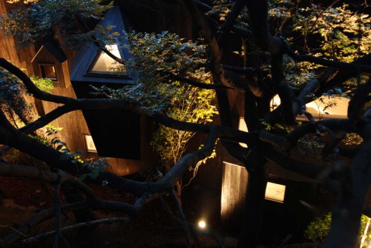 Dancing Trees, Singing Birds / Hiroshi Nakamura & NAP