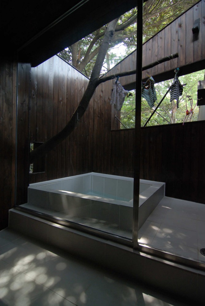 Dancing Trees, Singing Birds / Hiroshi Nakamura & NAP