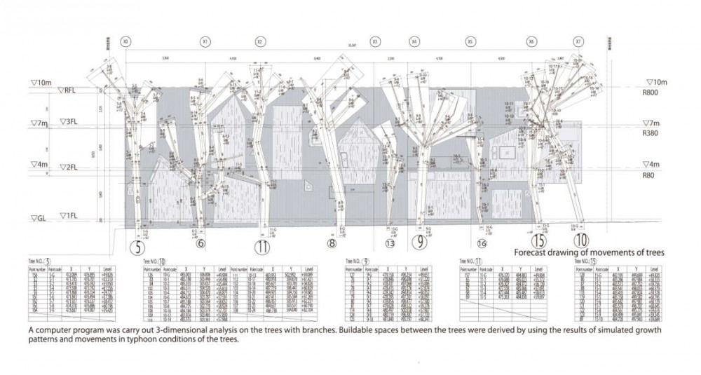 Dancing Trees, Singing Birds / Hiroshi Nakamura & NAP
