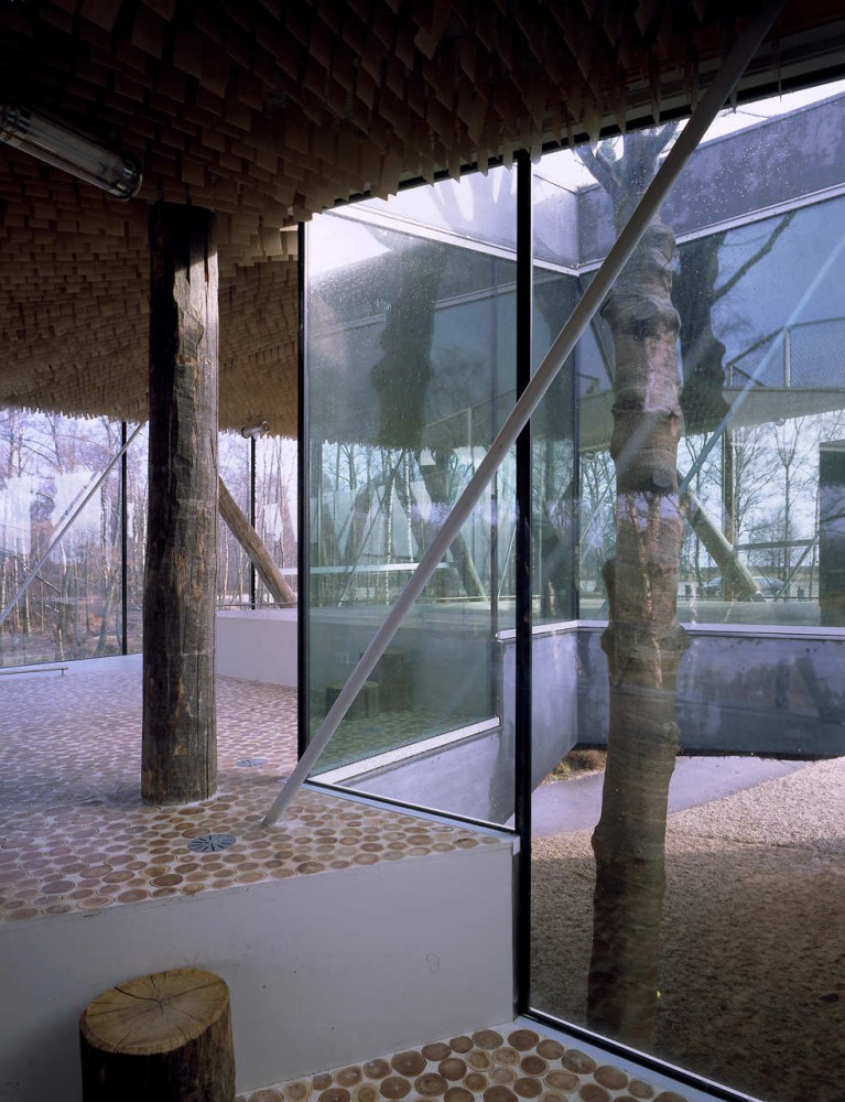 Flashback: Posbank Pavilion / de architectegroep, rijnboutt ruijssenaars hendriks van gamerenmastenbroek bv