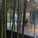 Tea Houses / Swatt | Miers Architects © Tim Griffith