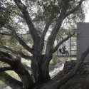 Tea Houses / Swatt | Miers Architects © Tim Griffith