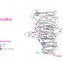 Hong Kong Car Parc Proposal (7) Hong Kong Car Parc Proposal (7) circulation strategy diagram