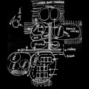 conceptual organization conceptual organization conceptual organization