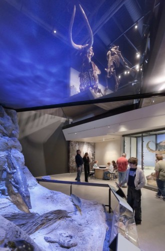 Natural History Museum of Utah / Ennead Architects (9)