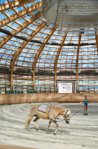 The Stork Nest Farm / SGL Projekt (14)