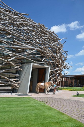 The Stork Nest Farm / SGL Projekt (13)