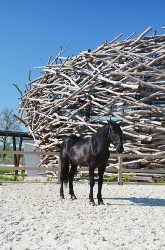 The Stork Nest Farm / SGL Projekt (10)