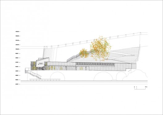 Elevation