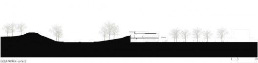 Elevation