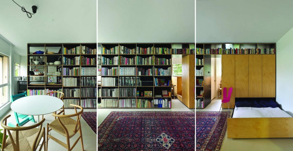 Potts Point Apartment / Anthony Gill Architects