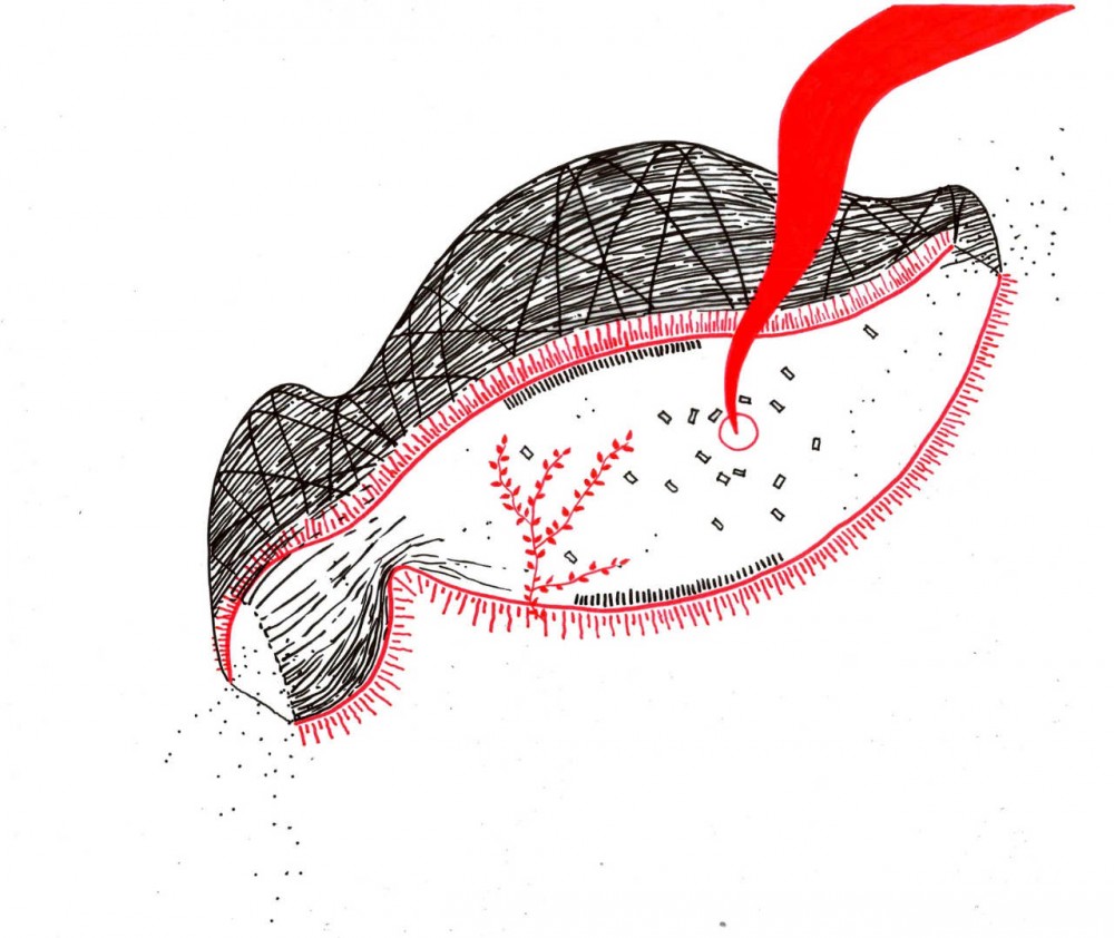 Cicada / Marco Casagrande