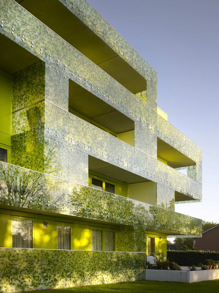 Gingko Project / Casanova + Hernandez Architects