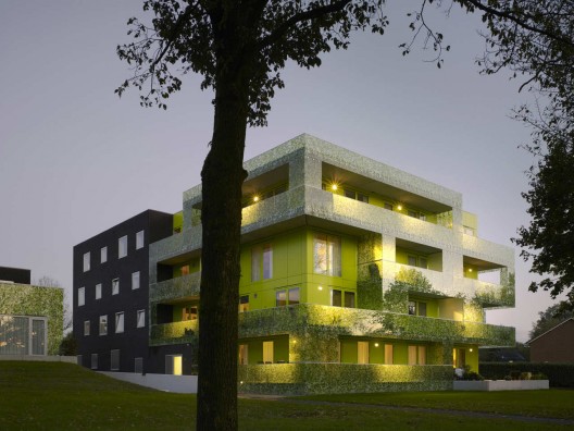 Gingko Project / Casanova + Hernandez Architects