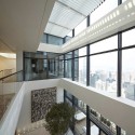 House Of The Tree / Kokaistudios © Charlie Xia