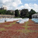 Architectural League Announces 2012 Winners of Emerging Voices Award (10) Architectural League Announces 2012 Winners of Emerging Voices Award (10) Milstein Hall, 26,000 square foot green roof, with OMA / © and courtesy of SCAPE / Landscape Architecture PLLC