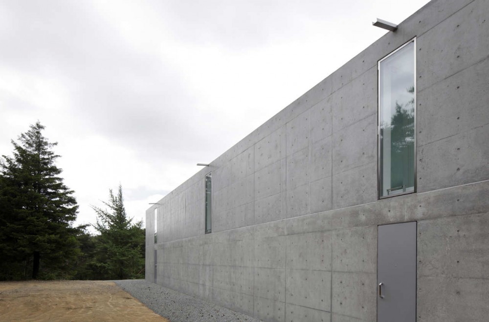 Forest View House / Shinichi Ogawa & Associates