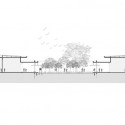 section section
