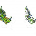 Shifting Fields (6) Shifting Fields (6) vegetation map 01