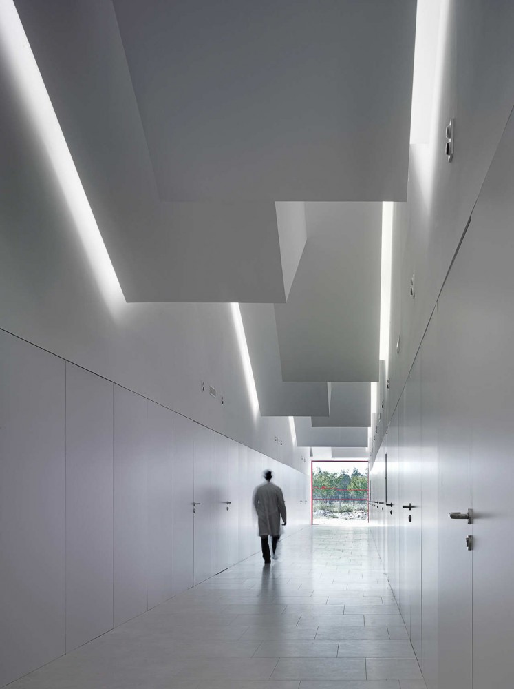Center for Individuals with Disabilities / g.bang architecture